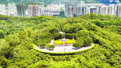 2030年深圳人均拥有16至18平方米绿地