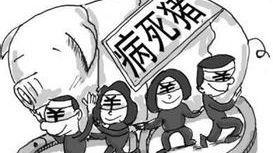 高效！龙岗法院9小时审判制售病死猪肉案