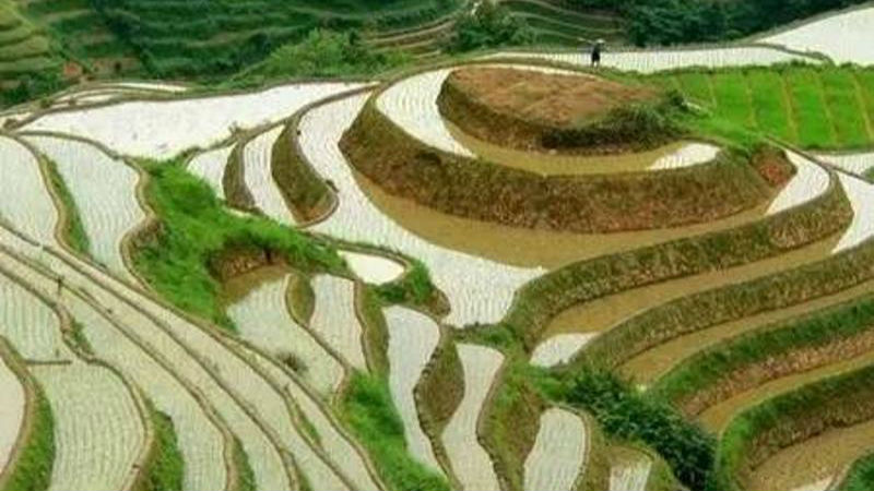 中办国办发文：农民进城落户不必退出承包地