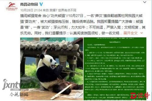 南昌一男子跳入熊猫馆欲挑逗大熊猫，结果……