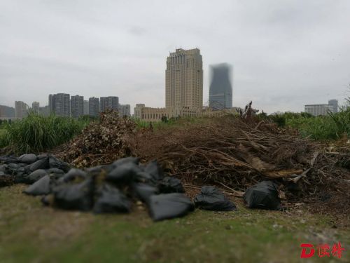 龙岗龙城绿地垃圾成堆