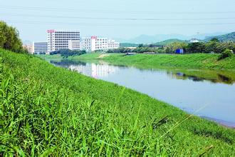 东莞将境内茅洲河段打造成新发展高地