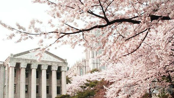 上下排名各有讲究 各式各样大学排行榜怎么来的?