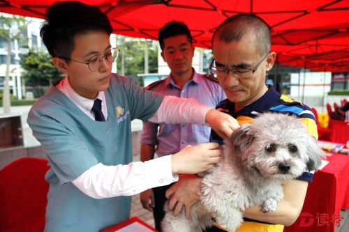 “爱我，请牵紧我”文明养犬宣传活动走进社区