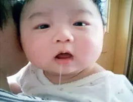 艺术写真的诱惑  让你流口水的美食便当！