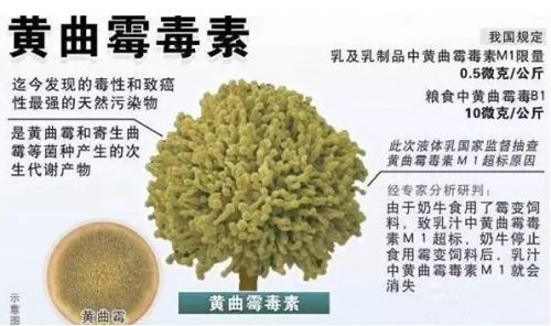 搜狗截图16年11月09日1237_20
