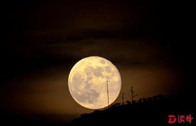 11月14日，本年度最大最圆月亮来了