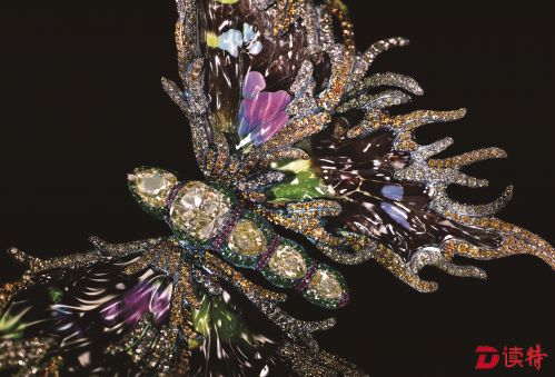 Brooch_Fluttery_Ragtime 2