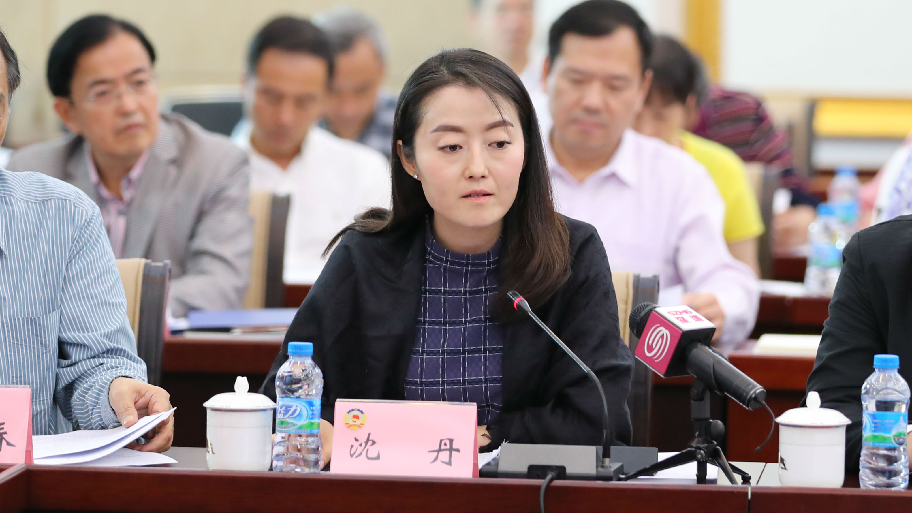 沈丹:严厉打击网络盗版释放数字内容文化产业活力