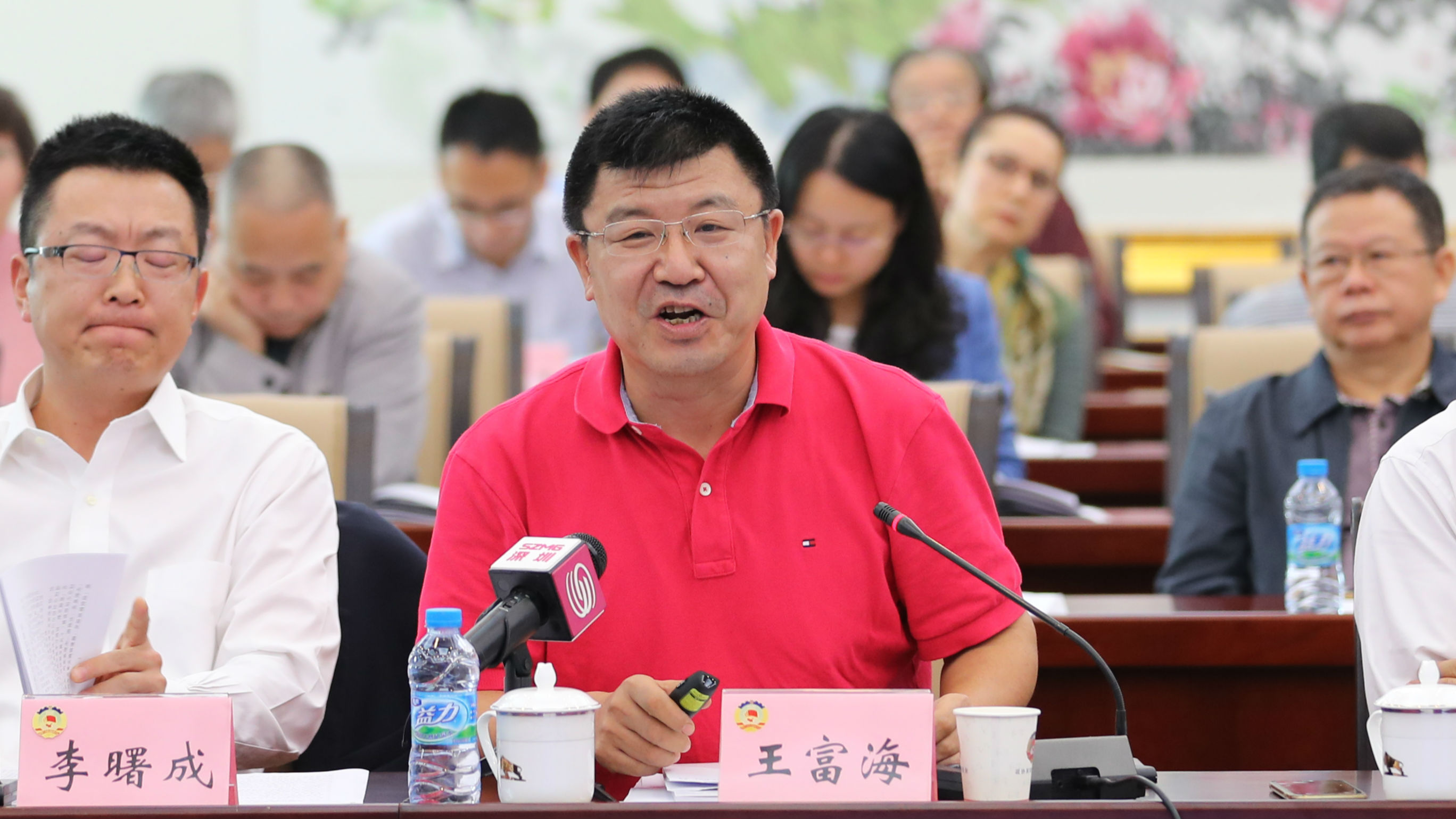 王富海:在深圳湾建设国际超级文化创新区