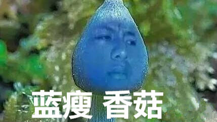 “汉语盘点2016”启动　 “蓝瘦香菇”有望入围