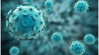 中国科学家发现寨卡病毒可能导致男性不育