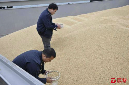 食事关注|辽宁截获检疫性有害生物