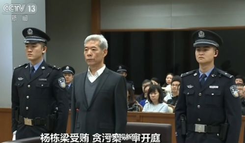 国家安监总局原局长杨栋梁受贿2849万当庭认罪