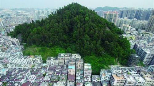 罗湖要棚改 这家商户二话不说就搬