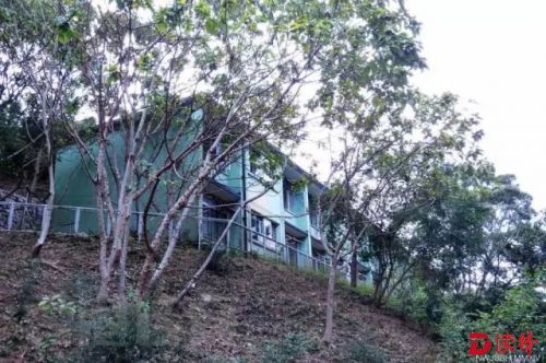 大隐于市的香港废墟