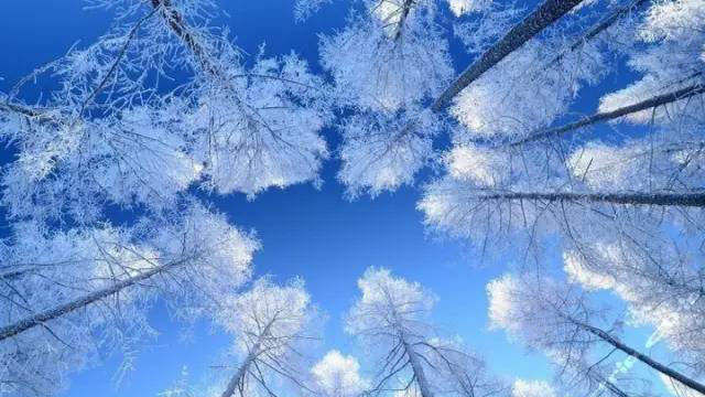 估计到12月，这里就会美得不可方物了！