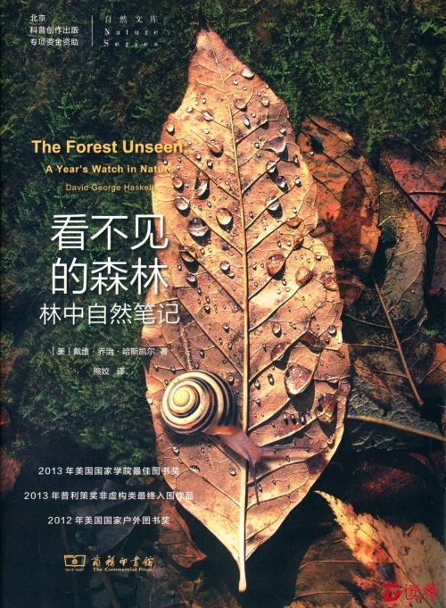 《看不见的森林》