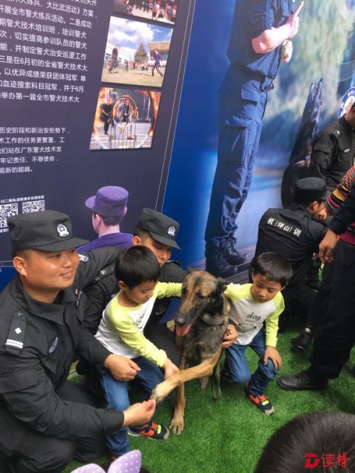 双胞