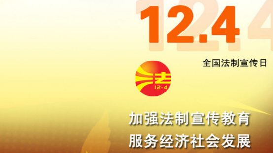 231人旁听庭审 国家宪法日活动“接地气”