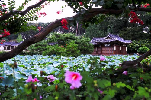 江原道船桥庄活来亭