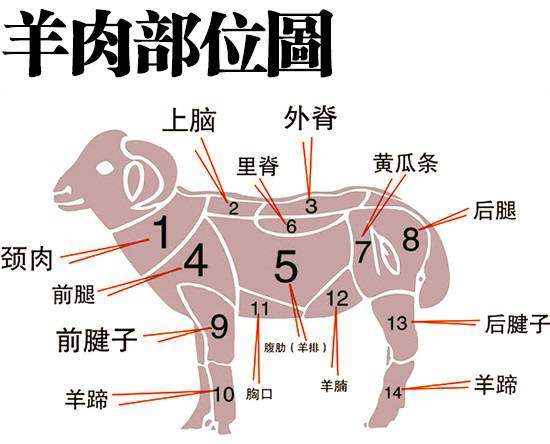 美味厨房 | 吃羊肉的最高境界