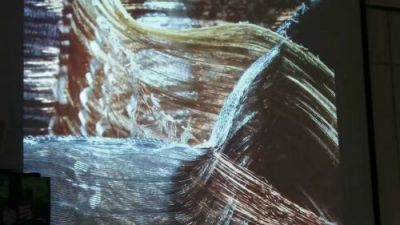 德国艺术家乌苏拉·瓦格纳：智能纤维是“雕塑”