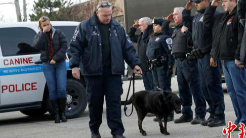 警犬患脑癌 警察列队敬礼送它最后一程