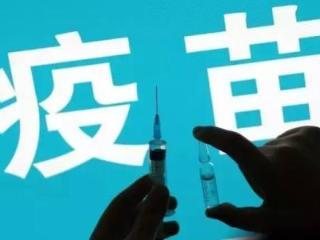 庞红卫孙琪非法经营疫苗案一审在济南开庭审理