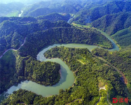 黄石坳自然保护区