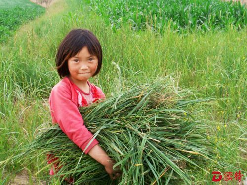 caoliang8679_1481294506463_89