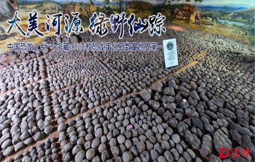 封面照3
