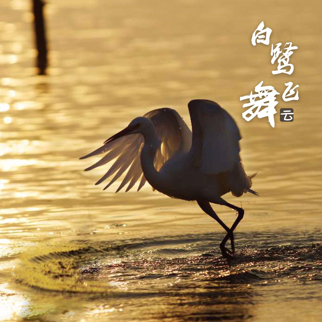 视界|看着下面这么多鱼，你一定会流口水的！