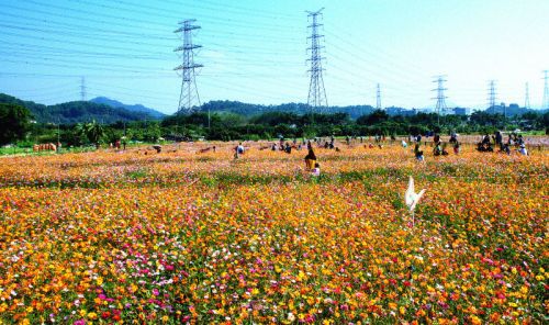 当一回都市“农夫”  200市民免费畅游光明景区