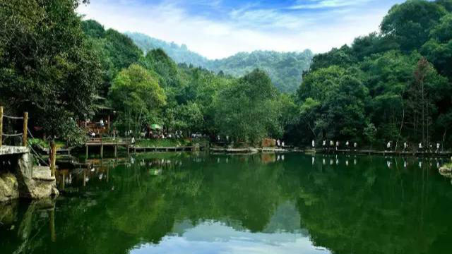 圣诞来跑“河马” 免费畅游河源六大核心景区