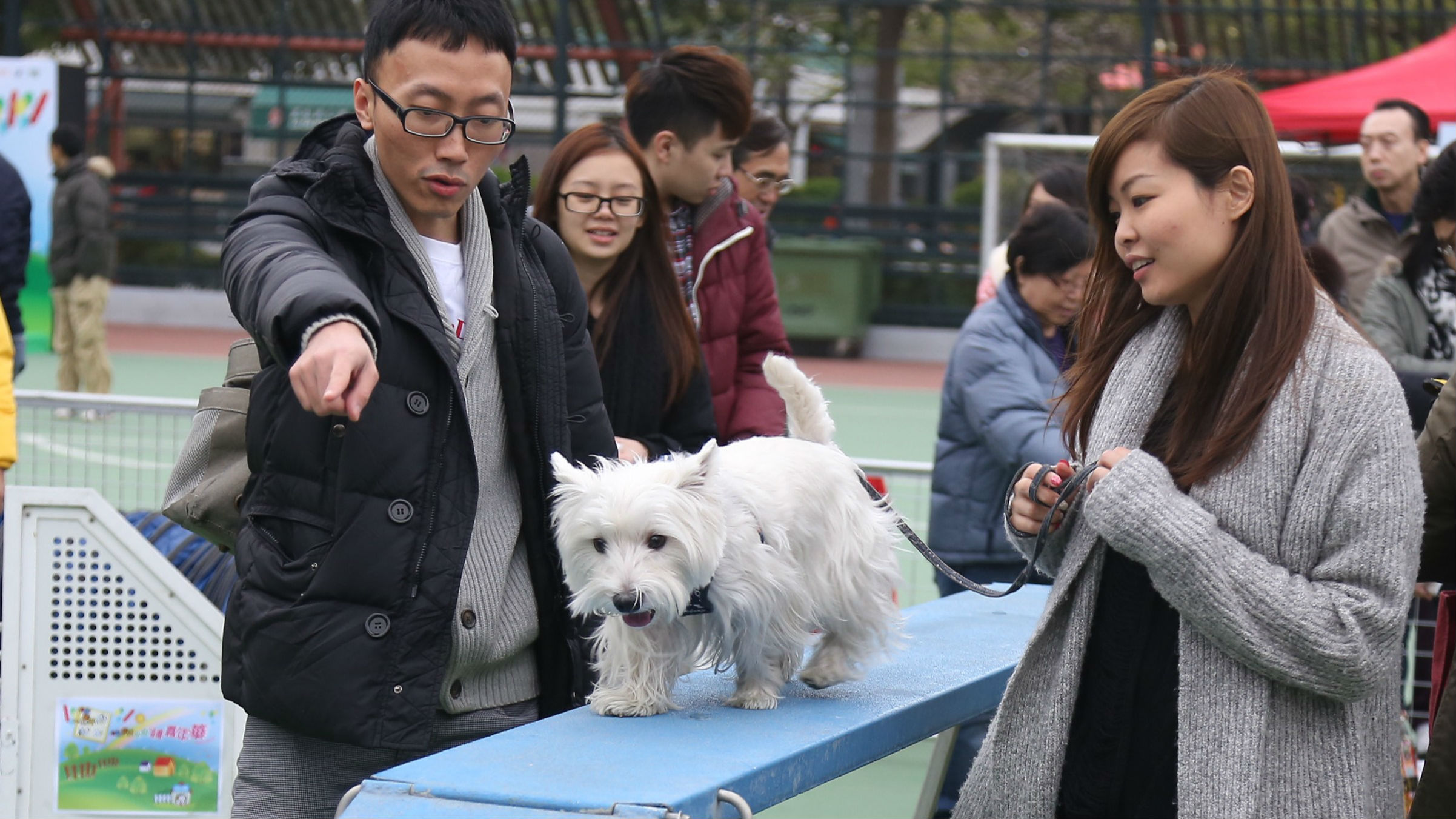 来宠TA吧！香港举行狗狗领养嘉年华