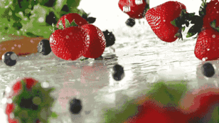 12月深圳摘草莓好去处，一起摘草莓了喂！