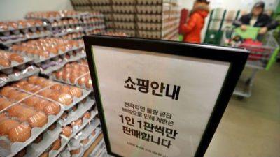 韩国禽流感拉响最高级警报 鸡蛋都开始限购