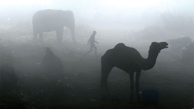 新德里雾霾居全球首位 房价下跌21.7%