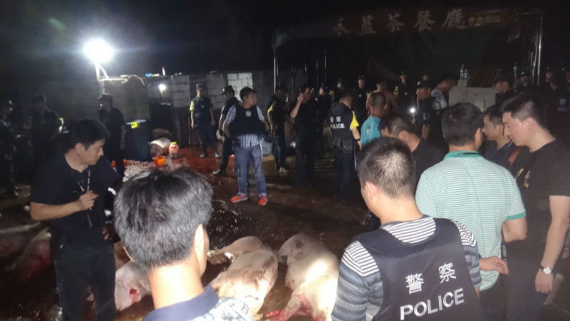 “利剑行动”查获私宰猪肉2.6万斤