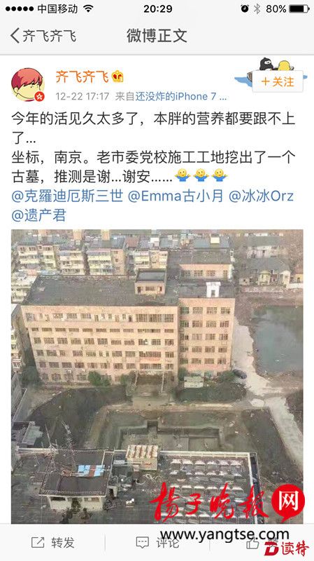 南京一考古工地挖出名臣谢安之墓？文物部门:假的