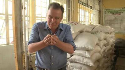尼日利亚海关截获中国产塑料大米？假的！