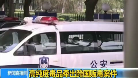99.99%纯度毒品牵出跨国贩毒案件