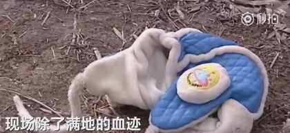 微信截图_20161226082927