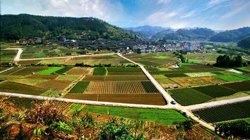 这个重磅消息宣布后，农村土地可能更值钱了
