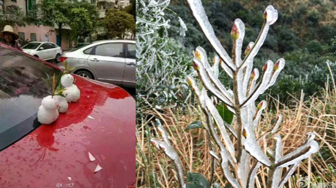 结冰、暴雨、台风：深圳今年天气太任性