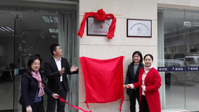 深圳首家女性社会组织联合党支部在罗湖成立