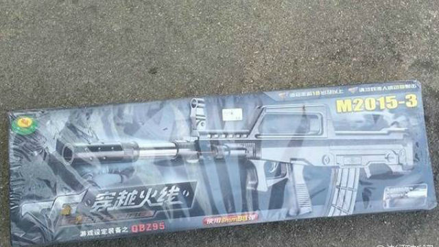 新县法院就拍卖玩具枪致歉:法官责任心不强