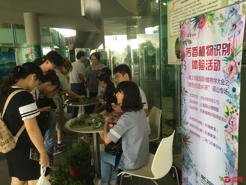 上海辰山植物园举办芳香植物识别活动