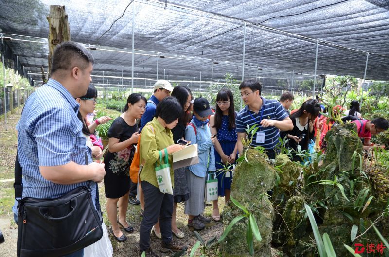深圳市兰科中心开展兰科科普活动2_proc